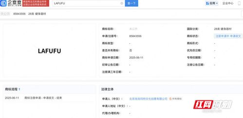 長沙市知識(shí)產(chǎn)權(quán)局服務(wù)指南 內(nèi)資公司注冊(cè)流程與知識(shí)產(chǎn)權(quán)保護(hù)